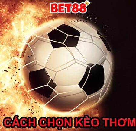 Hướng dẫn cách chọn kèo thơm trong cá cược bóng đá hiệu quả nhất