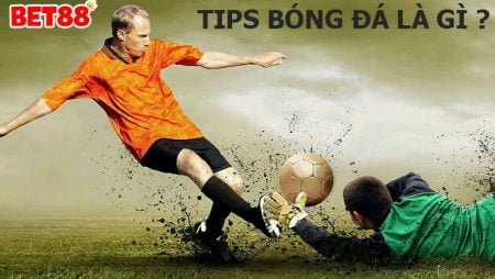 Cùng tìm hiểu các loại Tips bóng đá tại nhà cái hiện nay