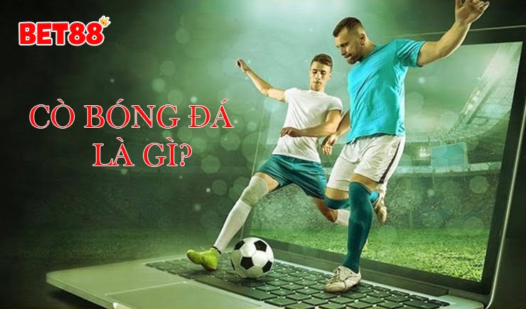 Tìm hiểu cò bóng đá là gì? Những yếu tố cần có của cò bóng đá